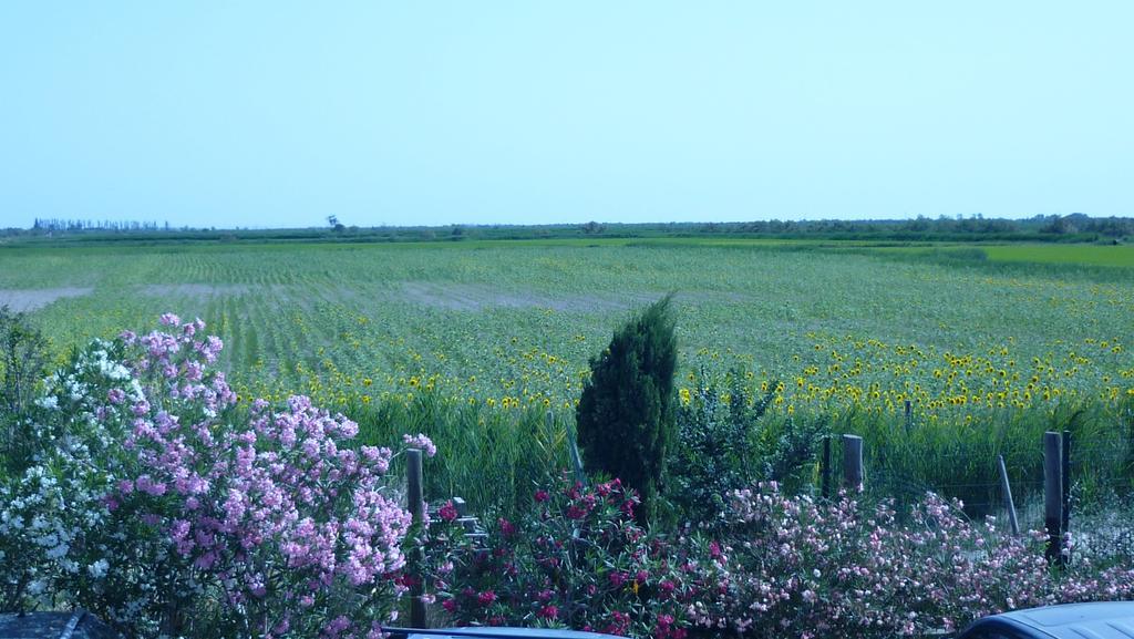 Soleil De Camargue Βίλα Αρλ Δωμάτιο φωτογραφία